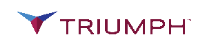 Triumph Insulation Systems-Germany GmbH
