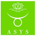 ASYS Automatic Systems GmbH Co. KG