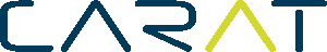 CARAT Ges. für Organisation und Softwareentwicklung